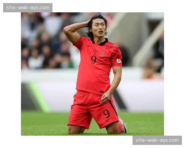 太极虎阵容厚度提升，孙兴慜领衔锋线，小组突围概率大幅增加｡