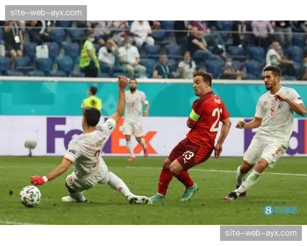 瑞士队首发预测：沙奇里经验致胜，阿坎吉首发对决波黑锋线